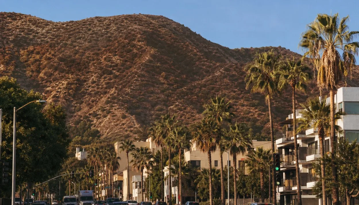 The Hollywood Hills rising behind low buildings at the edge of the boulevard